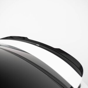 Extensión de Alerón Tesla Model X